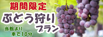 ぶどう狩りプラン