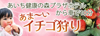 いちご狩りプラン